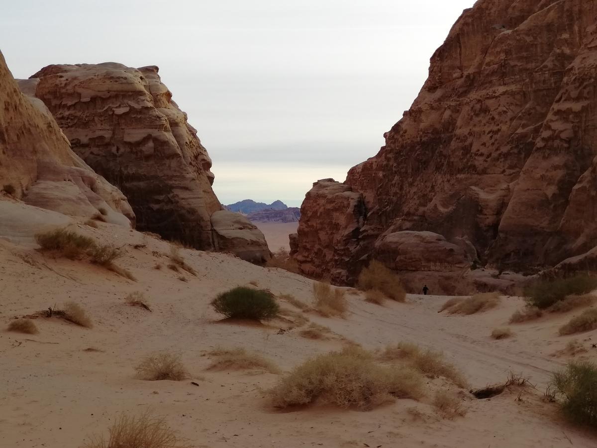 Heart Rum Camp Wadi Rum Exteriér fotografie